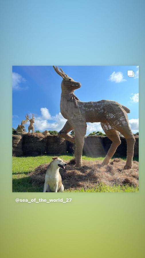 海中天旅店 Sea Of The World B&B Kenting Εξωτερικό φωτογραφία