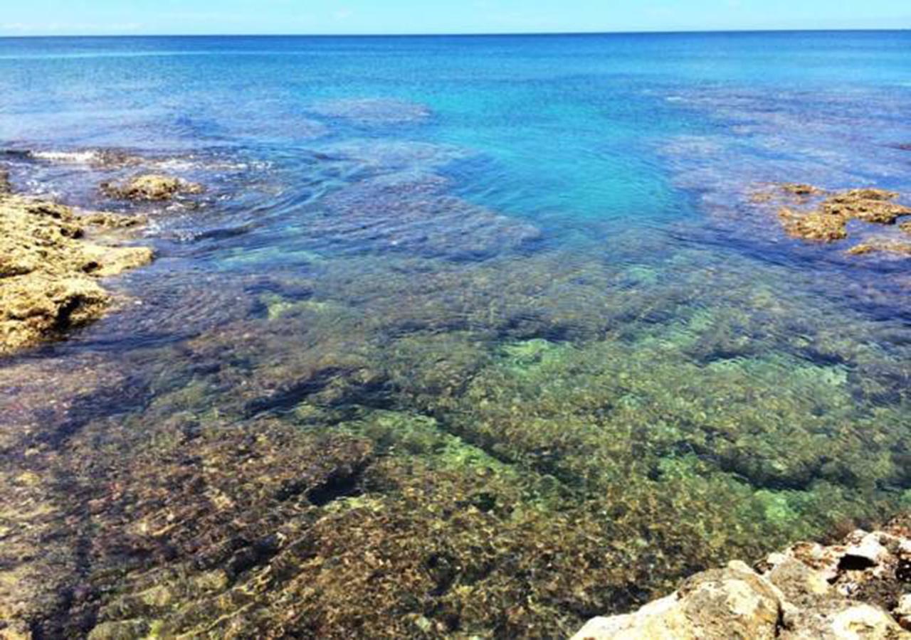 海中天旅店 Sea Of The World B&B Kenting Εξωτερικό φωτογραφία